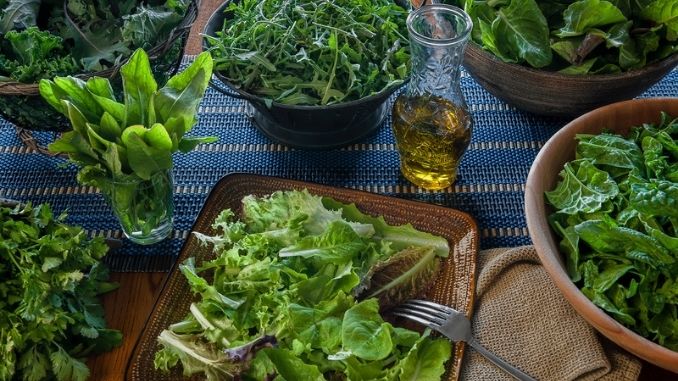 freshly picked leafy greens