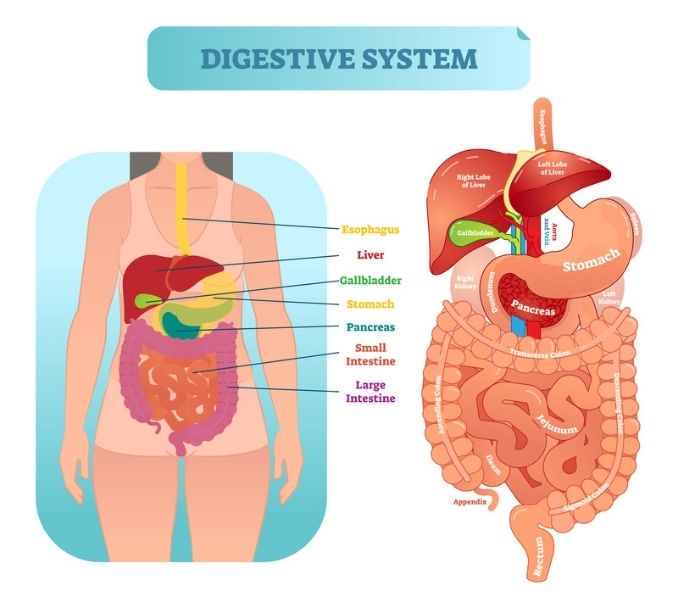 Diverticulitis