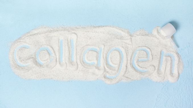 Collagen powder