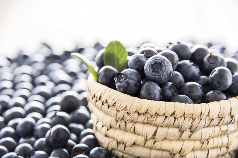 Fresh blueberries Balance and Equilibrium