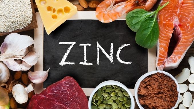 Foods High in Zinc