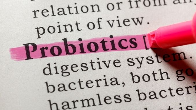 probiotics-dictionary-word