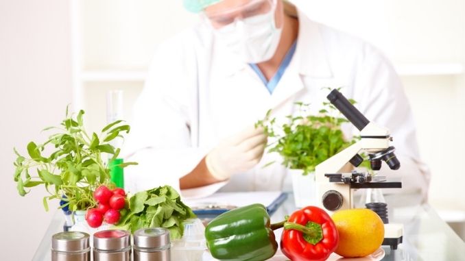 GMOs Advantages And Disadvantages-researcher-gmo-plants