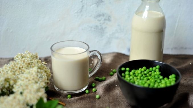 pea-protein-milk-vegan