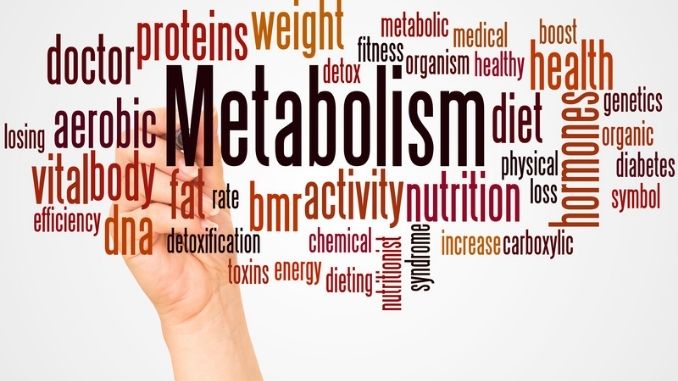 Metabolism word cloud