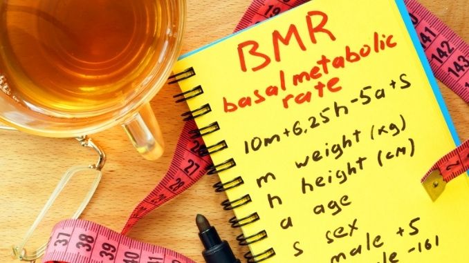 bmr-basal-metabolic-rate - Boosting Your Metabolism