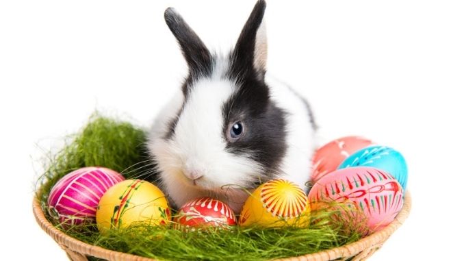 Traditional Easter Foods: easter-bunny-eggs