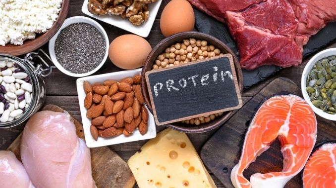 food-sources-protein-healthy-diet