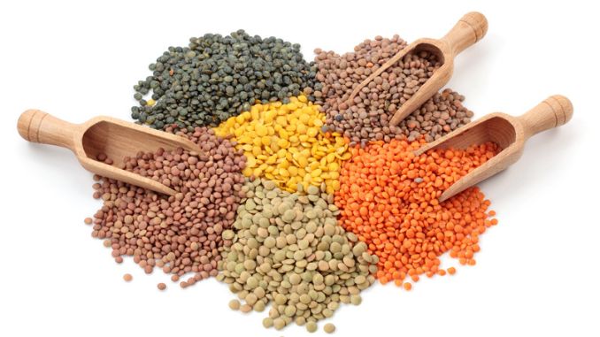 Group of lentils