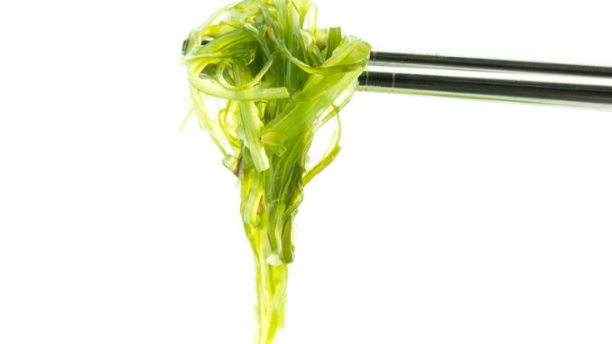 green-algae-chopsticks
